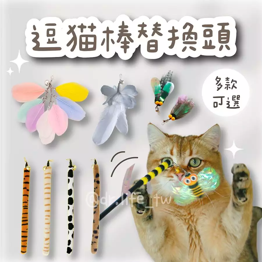 好玩一直玩🤤 逗貓棒替換頭🪶