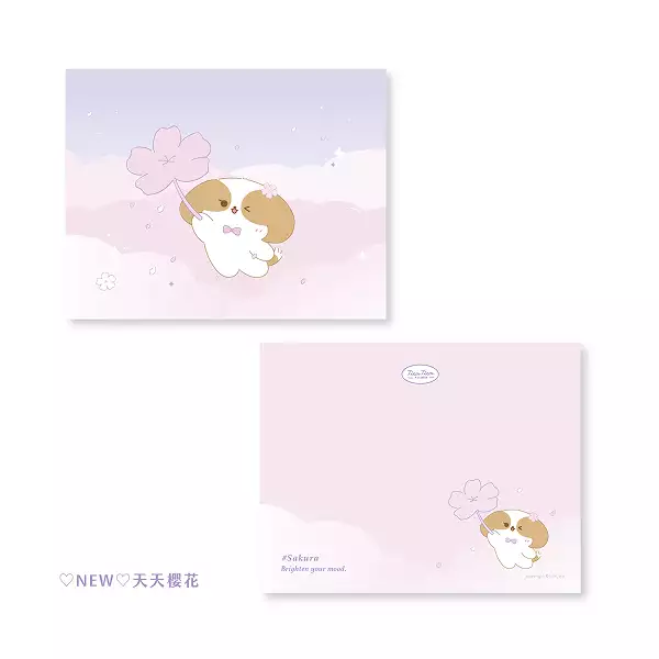 天天櫻花 明信片