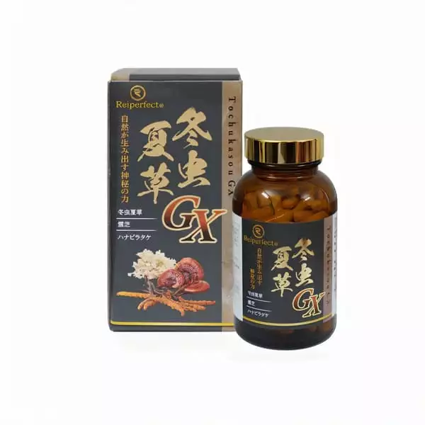 冬蟲夏草GX保健食品