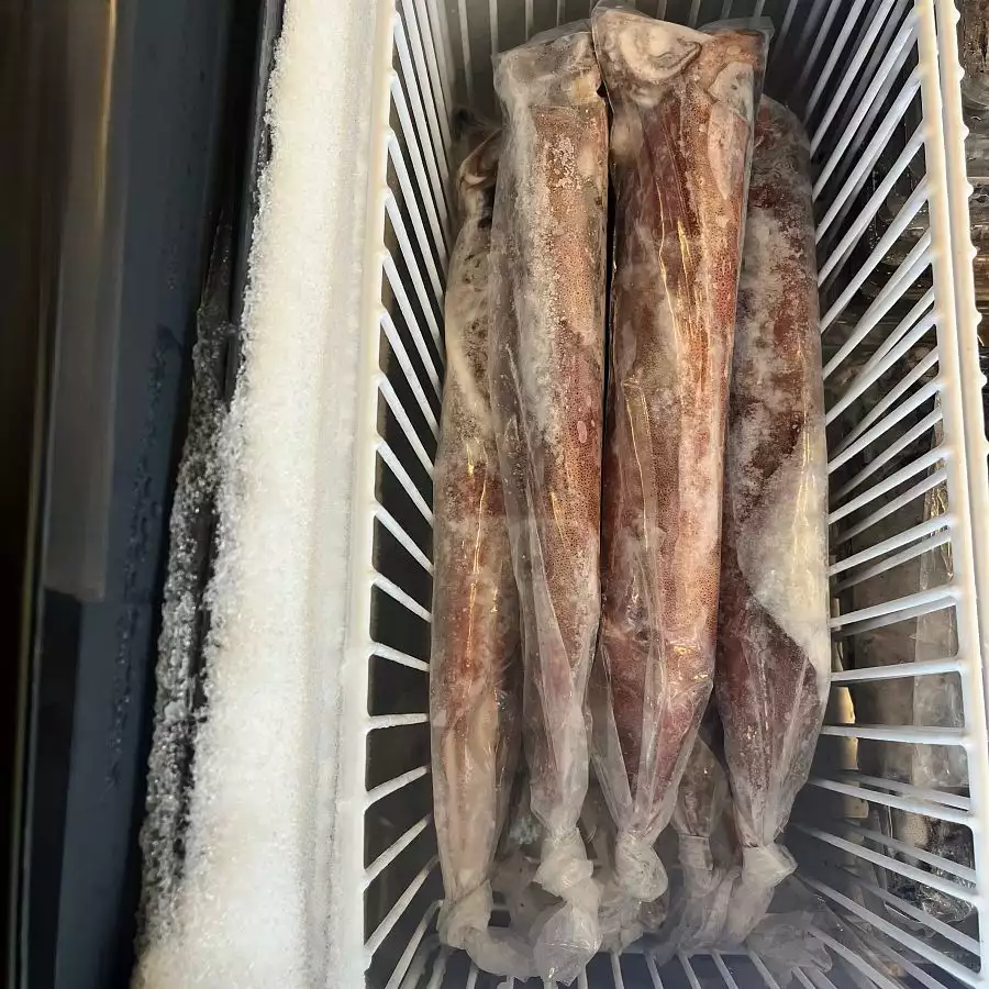 本港手釣砲管