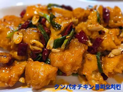 宮保雞丁｜Kung-Pao chicken｜ゴンバオジーディン(宮保雞丁)｜쿵파오 치킨