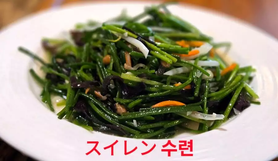 素水蓮｜Stir-fried white water snowflake｜水蓮菜炒め｜하얀물눈꽃볶음