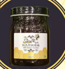 Show蜜工坊-純天然龍眼蜜(果粒瓶)
