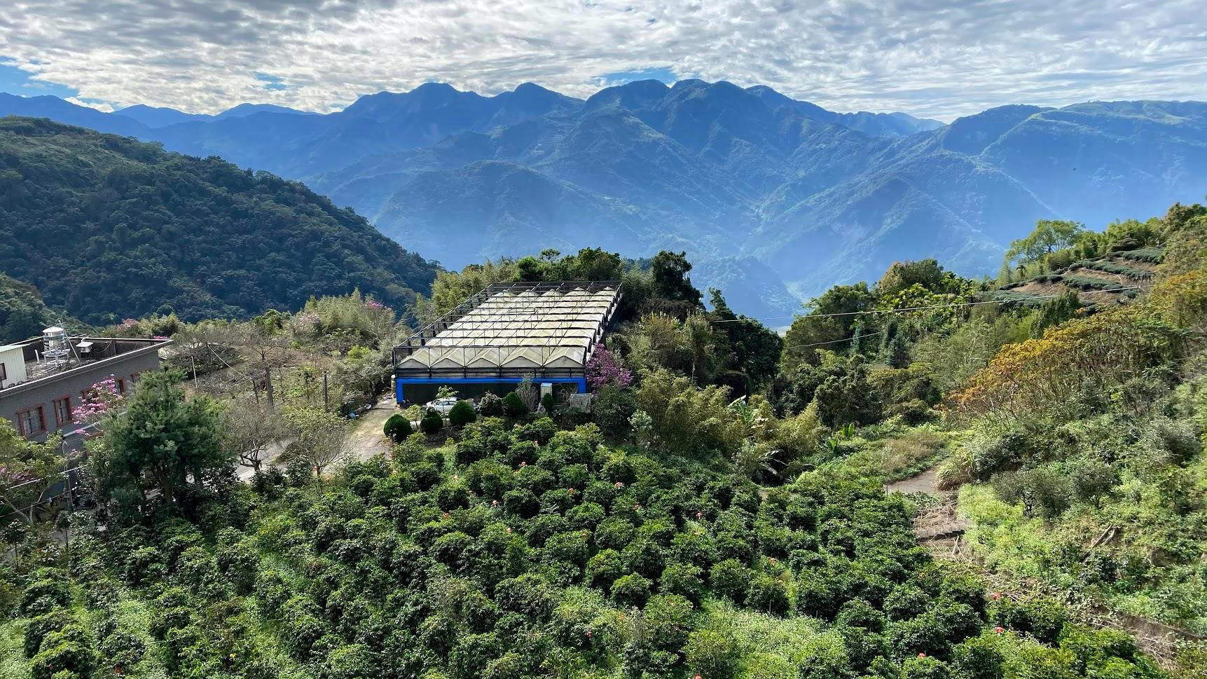 嵩岳咖啡